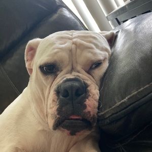 Meet your Posher, Micah